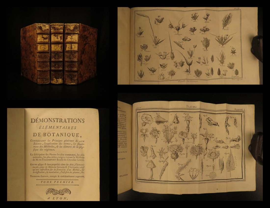 1787 BOTANY Francois Rozier on Agriculture Plants: 1787 BOTANY Francois Rozier on Agriculture Plants Agronomy Flowers Plates 3v Francois Rozier was an 18th-century French botanist best known for his book ‘Demonstrations of Elementary Botany’. This