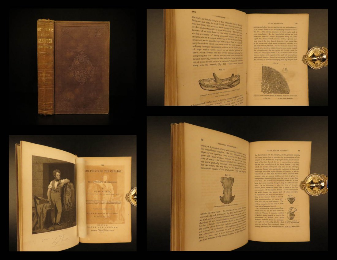 1854 DINOSAURS Paleontology Fossils Illustrated (1 of 10)