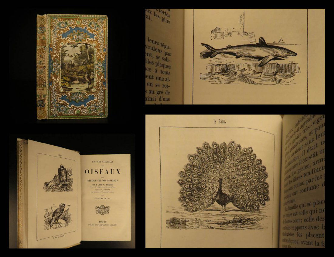 1863 BEAUTIFUL BINDING Animals Fish Birds Reptiles Zoo (1 of 10)