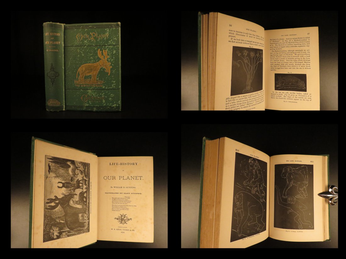 1876 1st ed DINOSAURS Paleontology Fossils America Life (1 of 10)