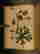 item-107812760=4