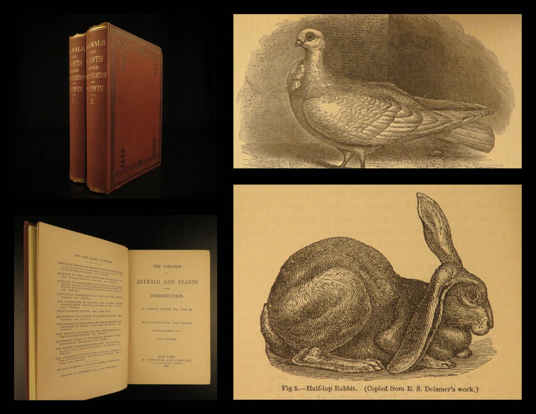 1887 Charles Darwin Variation Under Domestication (1 of 10)