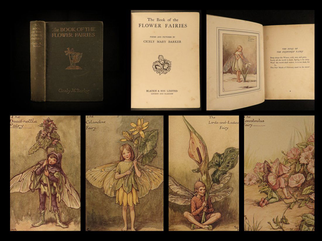 1927 1ed Flower Fairies Cicely Barker Magic Fantasy (1 of 10)