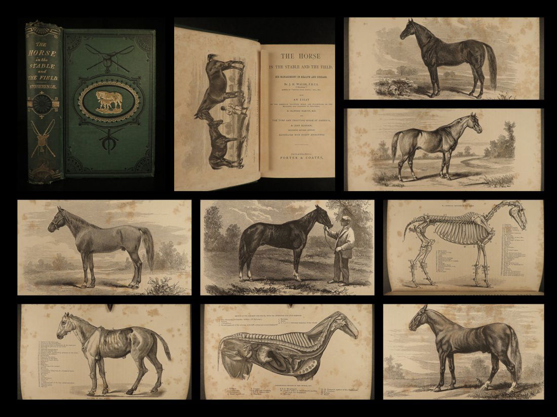 1871 HORSES Stable & Field Veterinary Medicine (1 of 10)