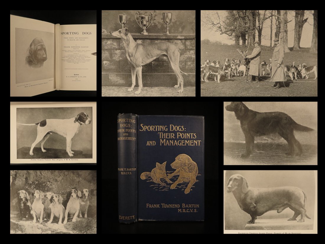 1905 1ed Sporting DOGS Hunting Domestic Pets Animal (1 of 10)