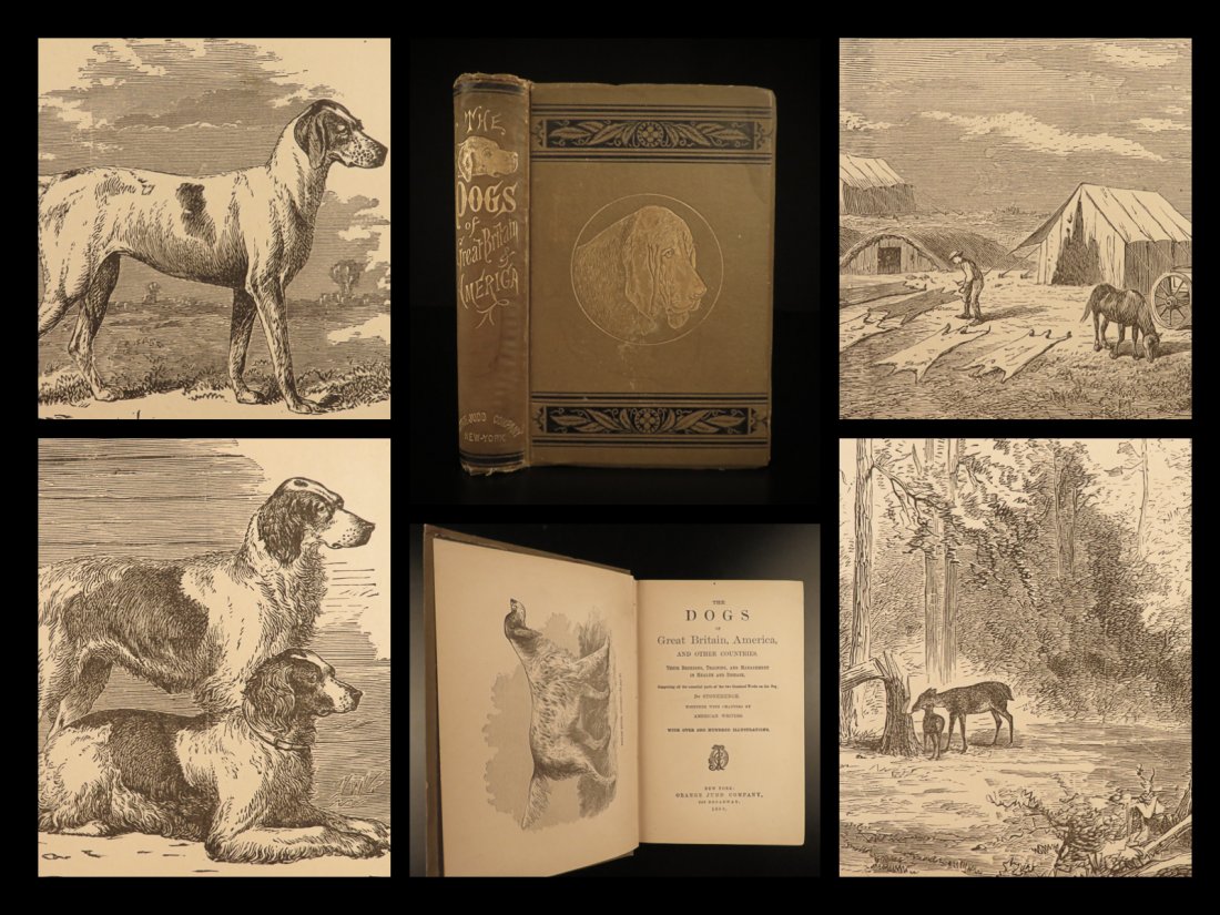 1880 DOGS Breeding Training Veterinary Health Disease: 1880 DOGS Breeding Training Veterinary Health Disease Breeds Illustrated Walsh J.H. Walshs â€œThe Dogs of Great Britain, America, and Other Countries” is a compendium of information on dogs.