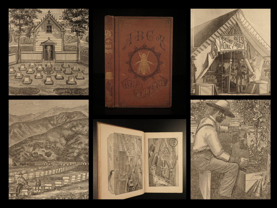 1895 ABC of Bee Culture Honey Hive Beekeeping (1 of 10)
