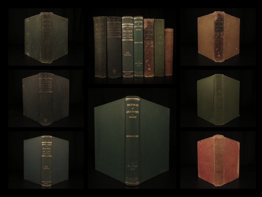 1899 Illustrated Medicine Anatomy Disease Obstetrics (1 of 10)