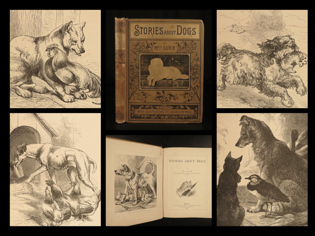 1882 1ed Stories About DOGS by Surr Harrison Weir ART: 1882 1ed Stories About DOGS by Surr Harrison Weir ART Illustrated Pets Poems Stories About Dogs is a late 19th-century collection of short tales and poems pertaining to dogs, cats, and other pets. Thi