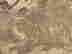 item-118556827=8