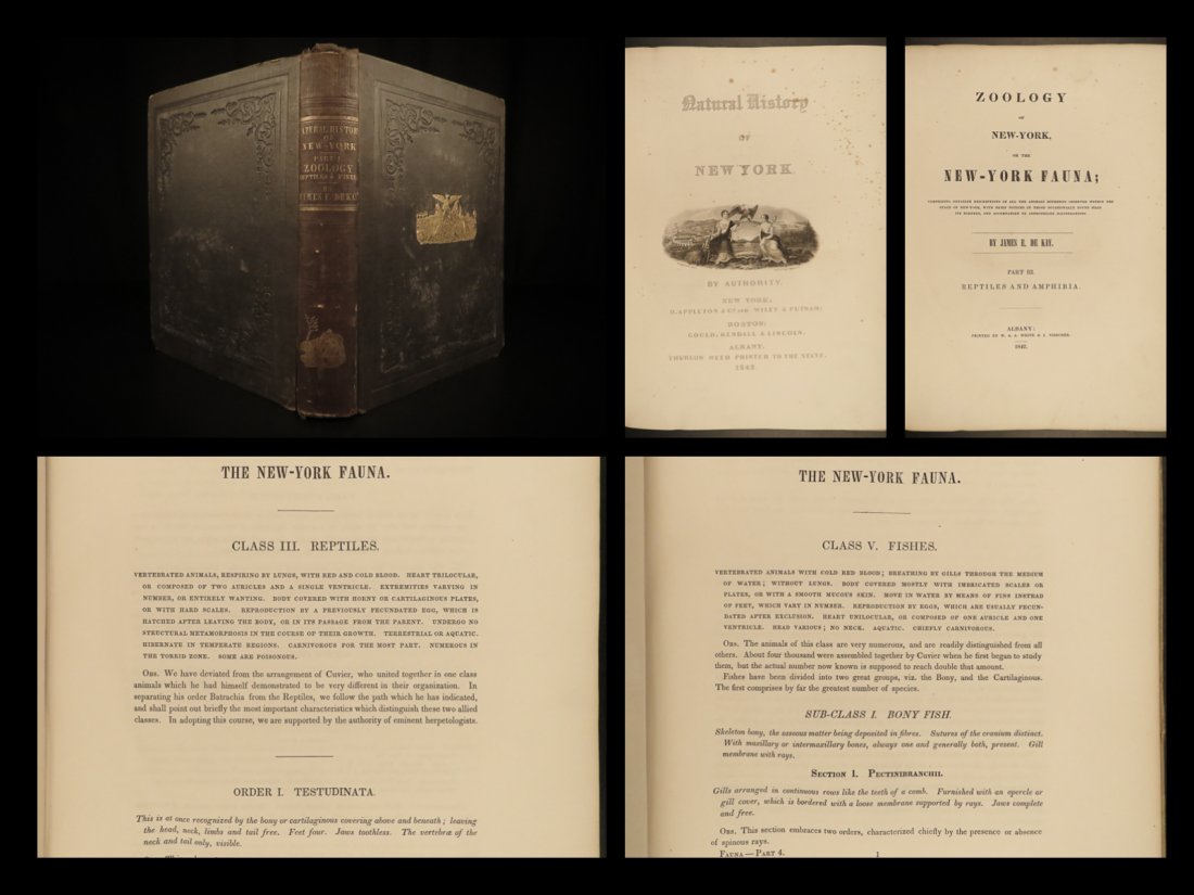 1842 1ed New York Zoology Natural History of Mammalia (1 of 10)