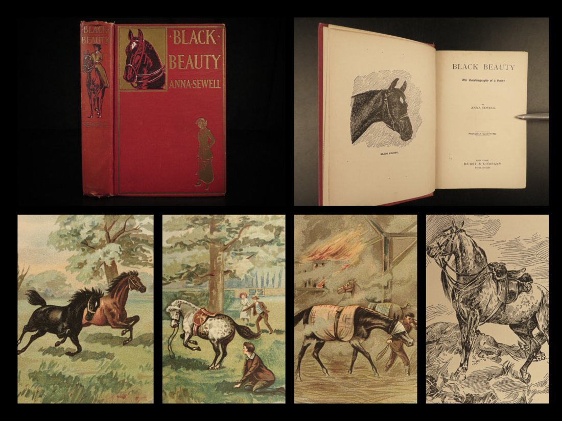 1903 Black Beauty Anna Sewell Animal Rights Horses: 1903 Black Beauty Anna Sewell Animal Rights Horses Equestrian COLOR Illustrated â€œIt is good people who make good places.” â€• Anna Sewell, Black Beauty One of the best-selling and mos