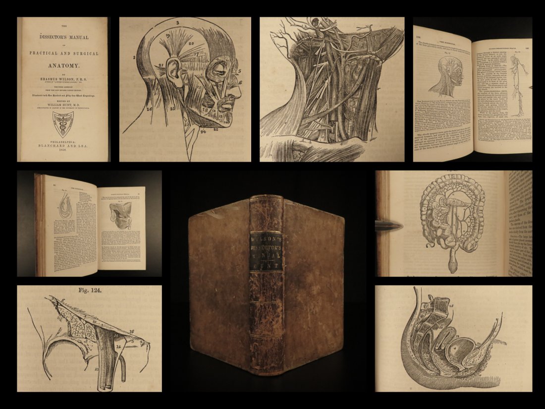1856 Surgery Medicine Dissectors Manual of Human Anatomy by Erasmus Wilson (1 of 10)