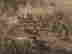 item-130275004=9
