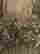 item-130277248=9