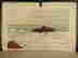 item-130277548=5