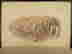 item-130277548=6