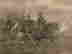 item-130703216=9
