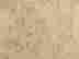 item-130703719=7