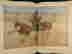 item-130778323=8