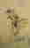 item-130779922=8