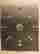 item-132905467=7