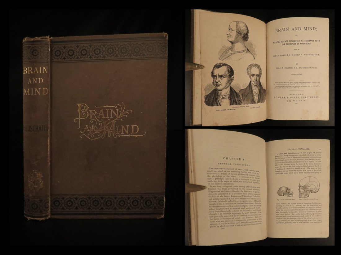1882 Brain & Mind Neurology Human Anatomy Physiology Skull Phrenology Drayton (1 of 10)