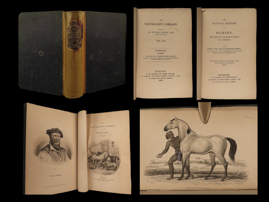 1844 HORSES Jardine ART Naturalist Equestrian Peru Zebra Africa Illustrated: 1844 HORSES Jardine ART Naturalist Equestrian Peru Zebra Africa Illustrated Sir William Jardine was a 19th-century Scottish naturalist most known for his extensive series of books on natural history, 