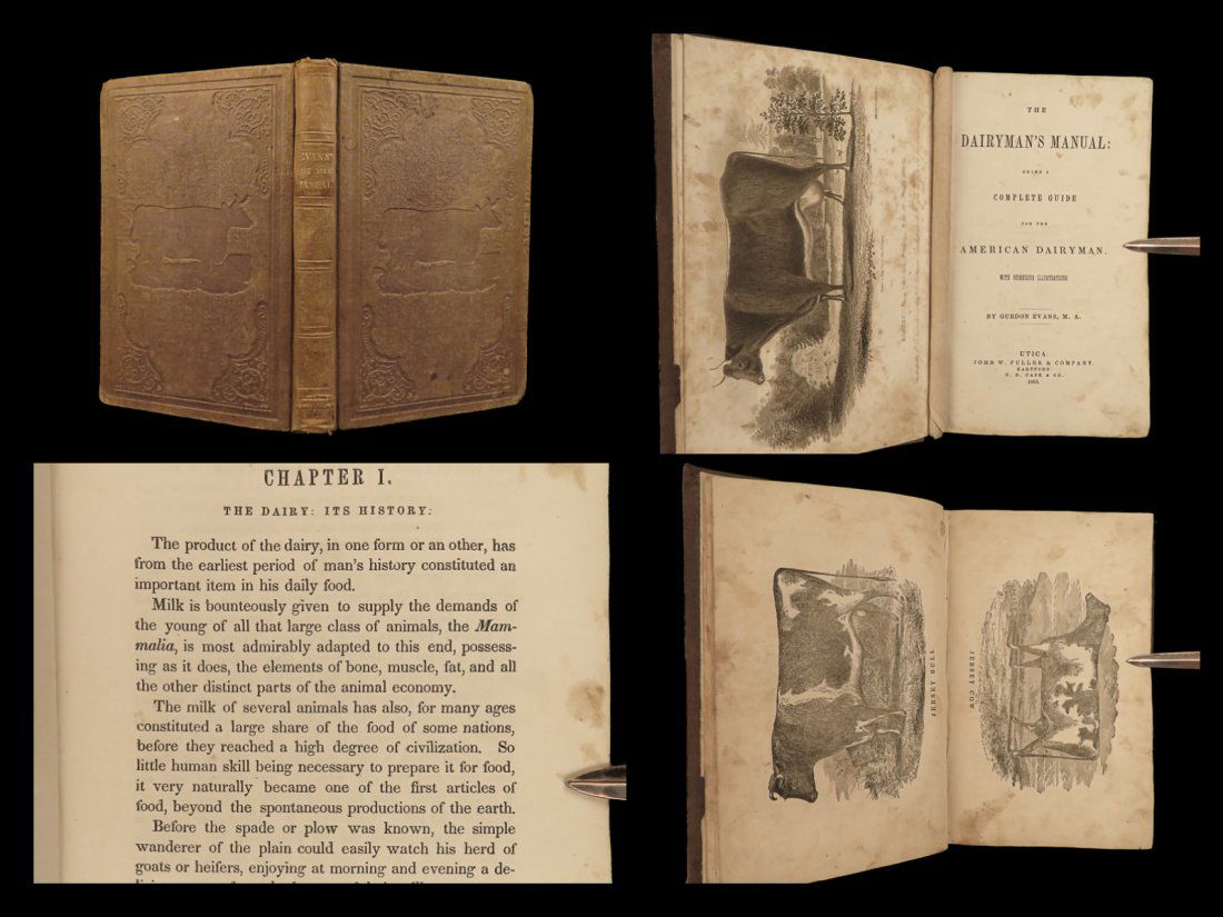 1851 1ed Dairy Farming COWS American Cattle Veterinary Medicine Milk Agriculture (1 of 10)