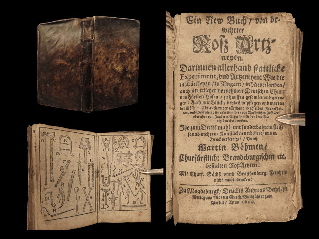 1620 Pharmacopoeia Artzneyen Medical Experiments Medicine Surgery Cures Bohme (1 of 10)