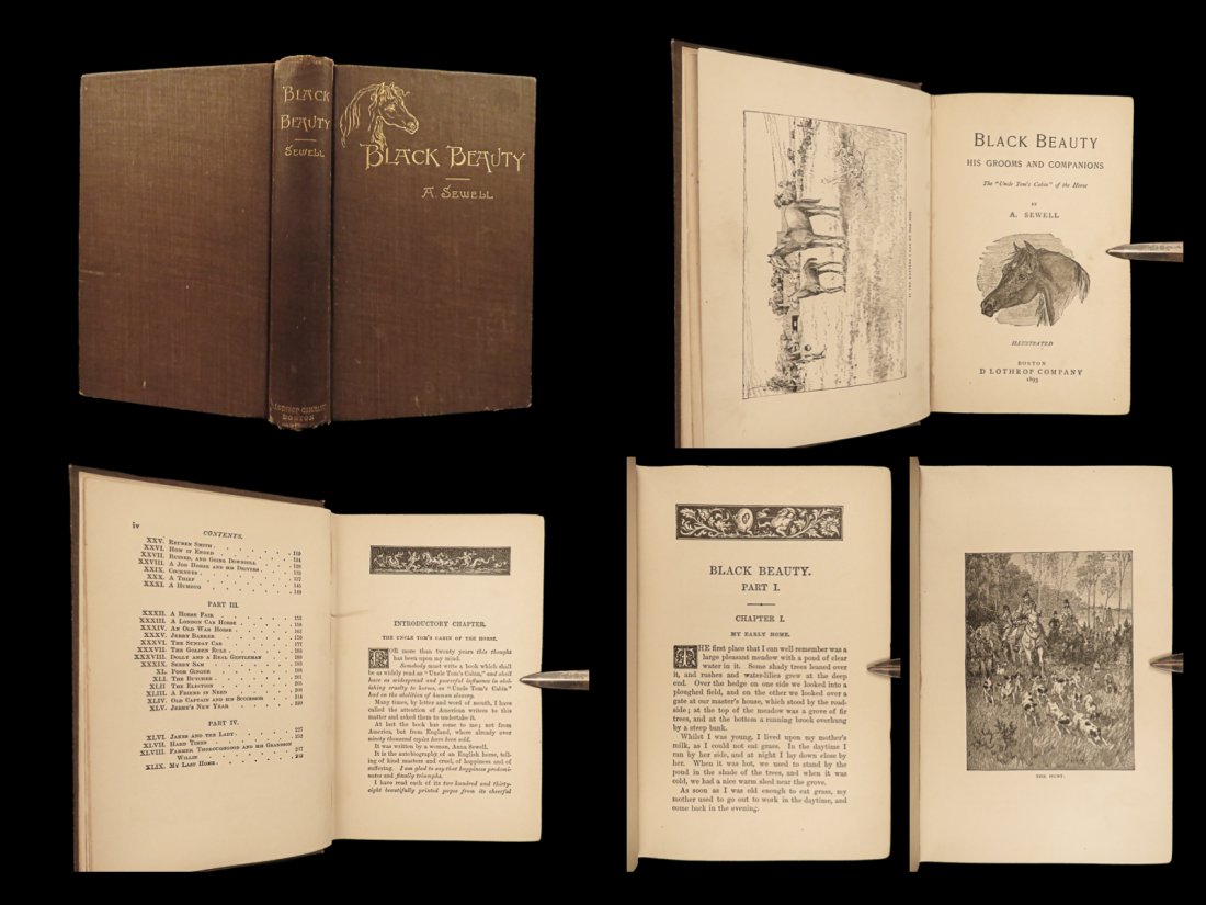 1891 Black Beauty Anna Sewell Animal Rights Horses Equestrian Illustrated: 1891 Black Beauty Anna Sewell Animal Rights Horses Equestrian Illustrated One of the best-selling and most popular novels of all time, â€œBlack Beauty” by Anna Sewell was originally written 