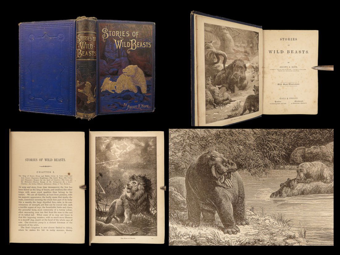 1885 WILD BEASTS 1ed Stories of Exotic Animals RHINO Elephant Lion Tiger Hippo (1 of 10)