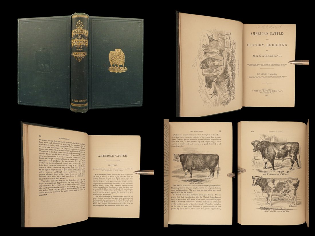 1887 American CATTLE Cows Breeding Management Dairy FARM Livestock Husbandry (1 of 10)