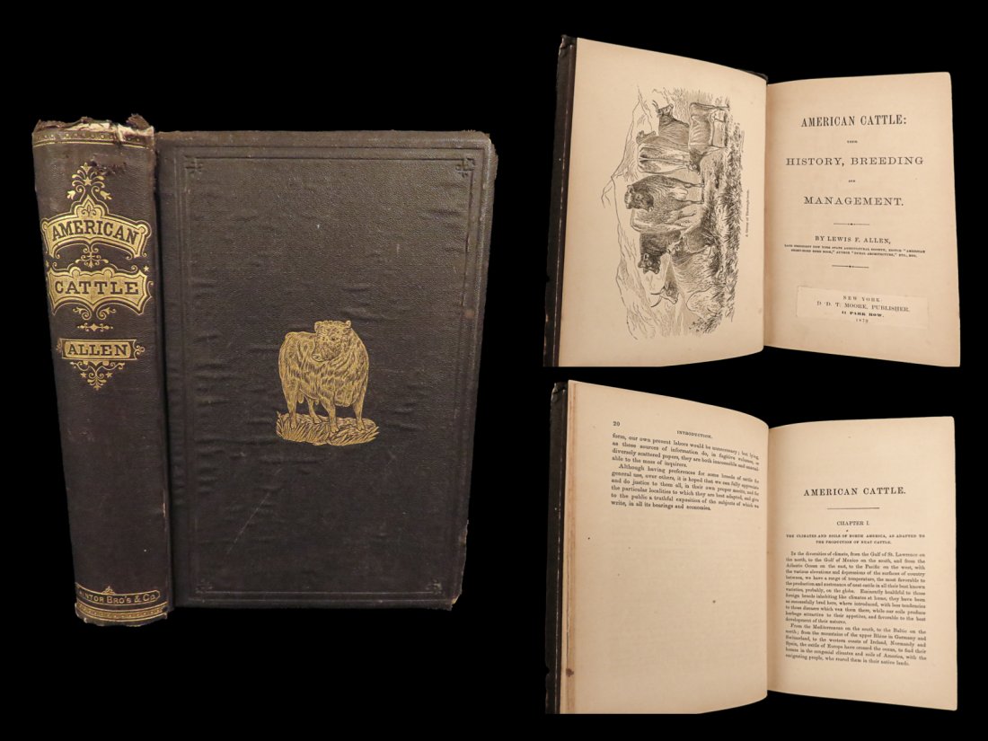 1870 American CATTLE History Breeding Management Dairy FARM Livestock Husbandry (1 of 10)