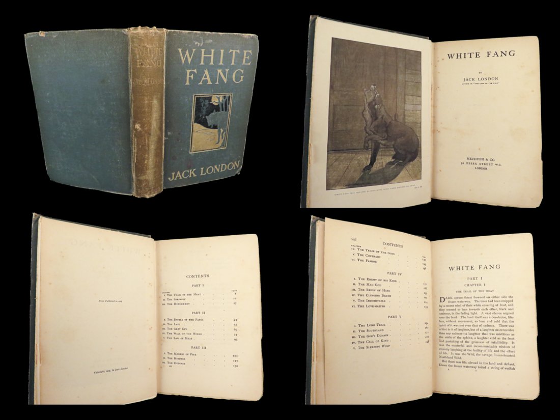 1907 White Fang 1st ed by Jack London Adventure Novel Illustrated Wolves Indians (1 of 10)