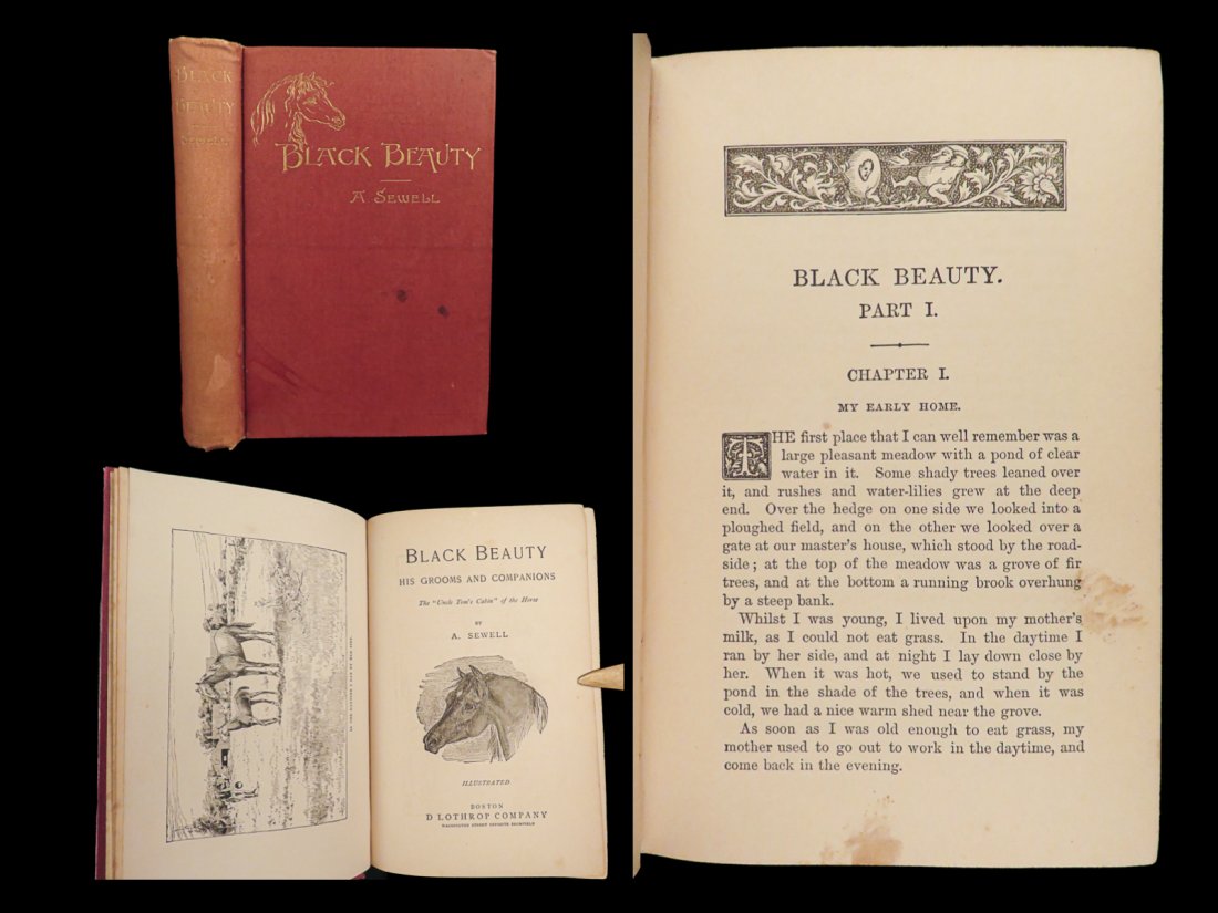 1890 Black Beauty Anna Sewell Animal Rights Horses Equestrian Illustrated: 1890 Black Beauty Anna Sewell Animal Rights Horses Equestrian Illustrated One of the best-selling and most popular novels of all time, “Black Beauty” by Anna Sewell was originally written in 1