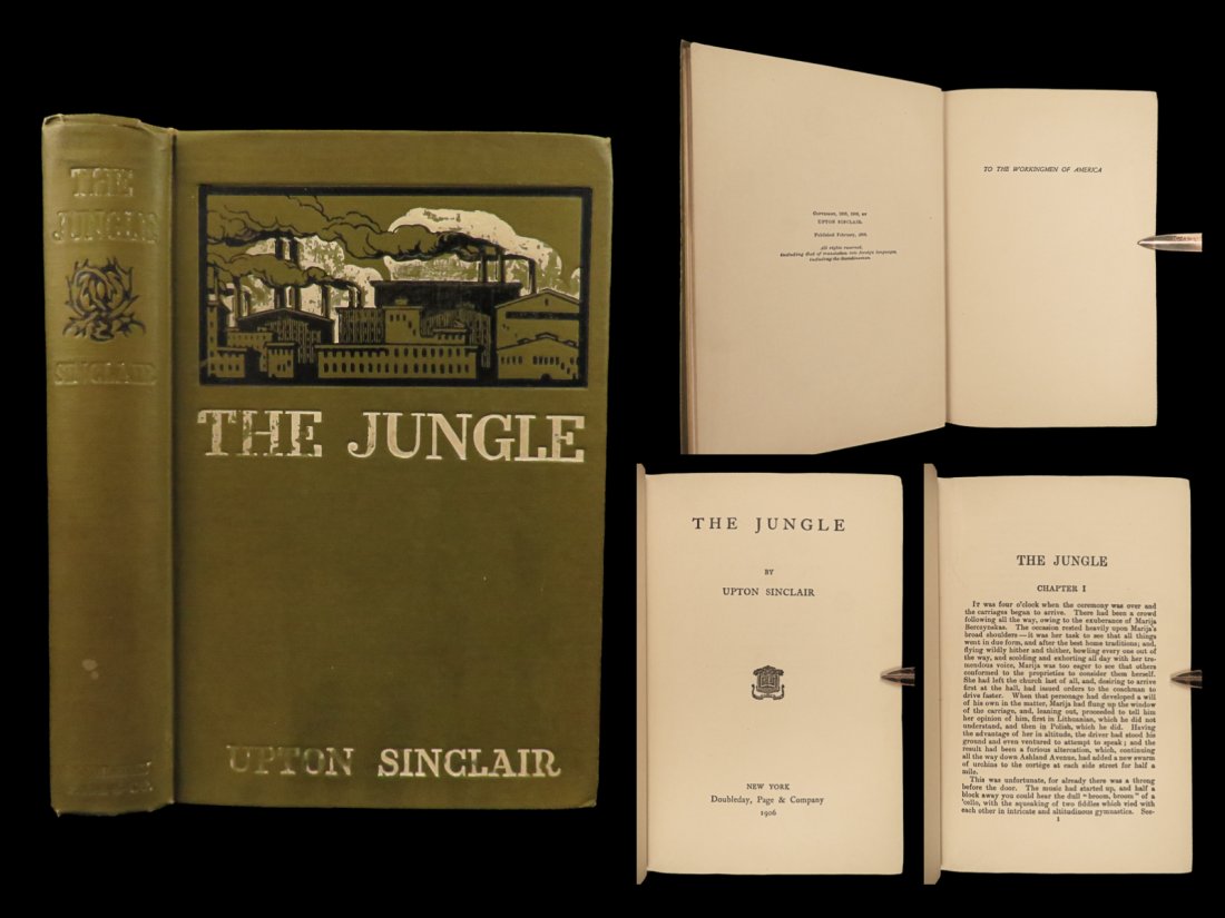 1906 The JUNGLE 1st ed Upton Sinclair Chicago Meatpacking Socialism Immigrants (1 of 10)