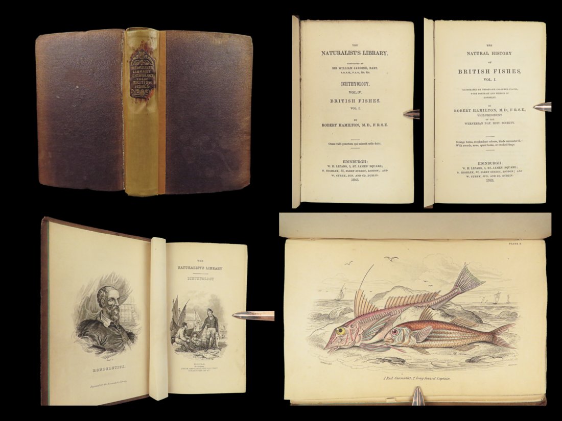 1843 FISH Jardine Naturalist FISHING Salmon Carp Ichthyology Sea Scorpion Perch (1 of 10)
