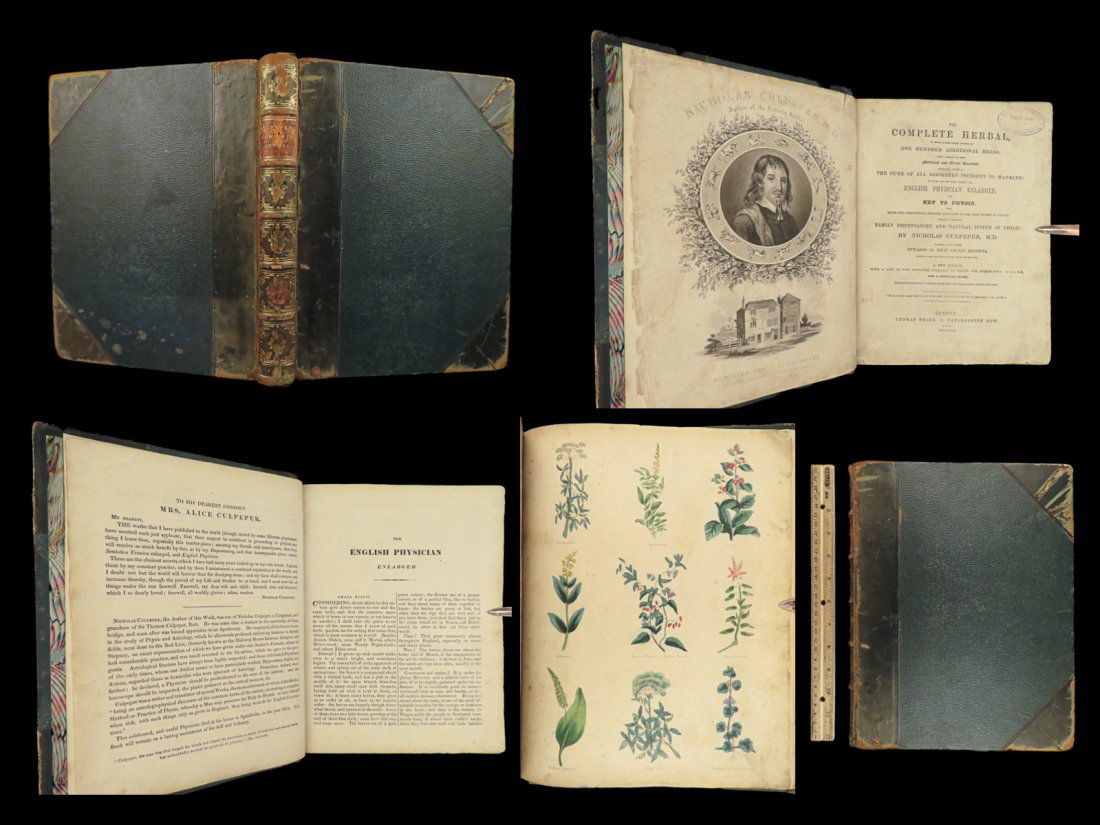 1846 RARE Complete HERBAL Family Physician CULPEPER Medicine Botany Astrology (1 of 10)