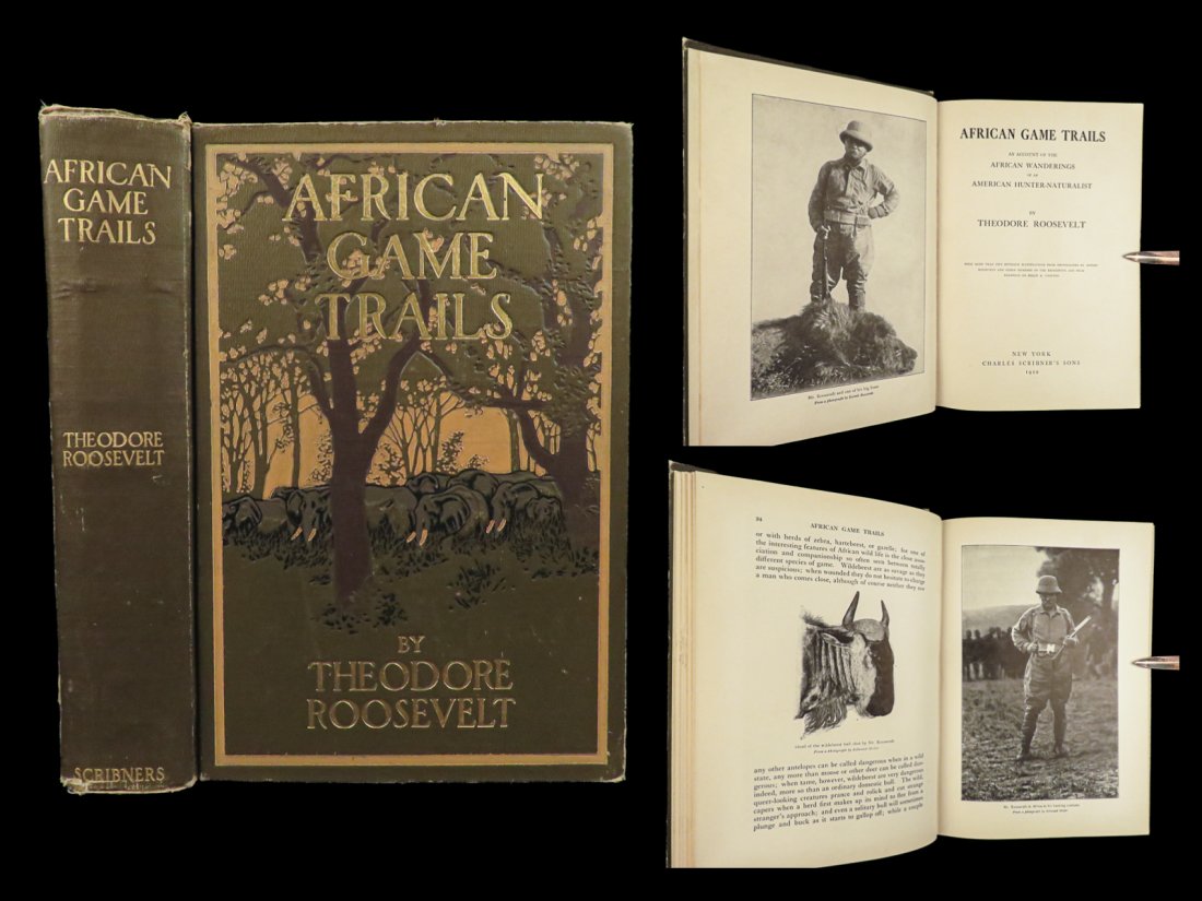 1910 Theodore Roosevelt 1st ed African Game Trails Illustrated HUNTING Sporting (1 of 10)