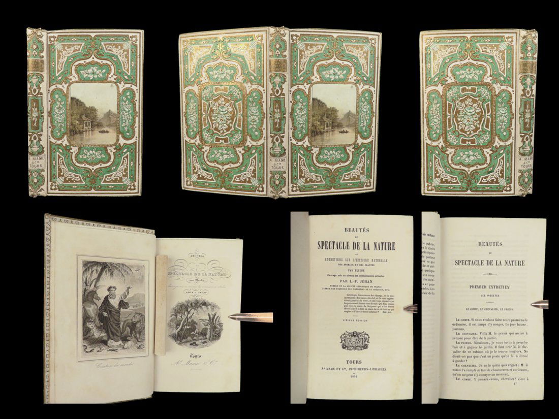 1860 FINE BINDING Pluche SCIENCE Spectacle Nature Decorative French Cartonnage (1 of 10)