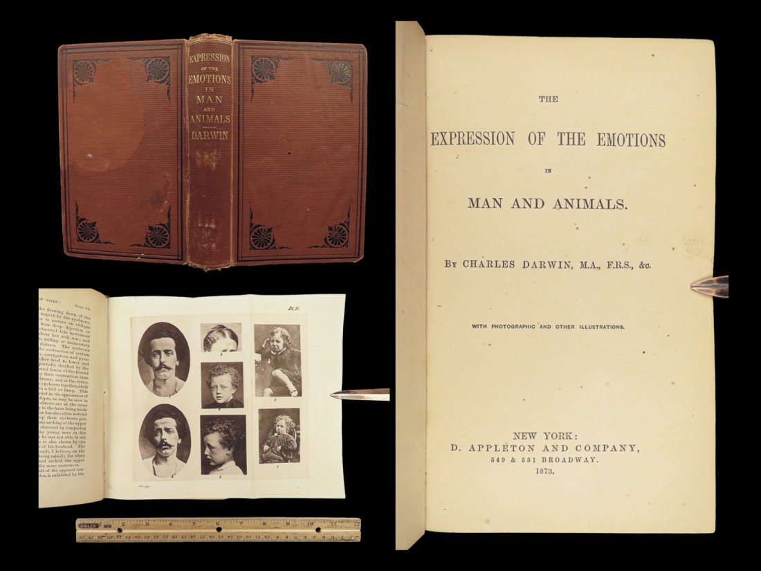 1873 Charles DARWIN 1ed Expression of Emotions in Man & Animal EVOLUTION Science (1 of 10)