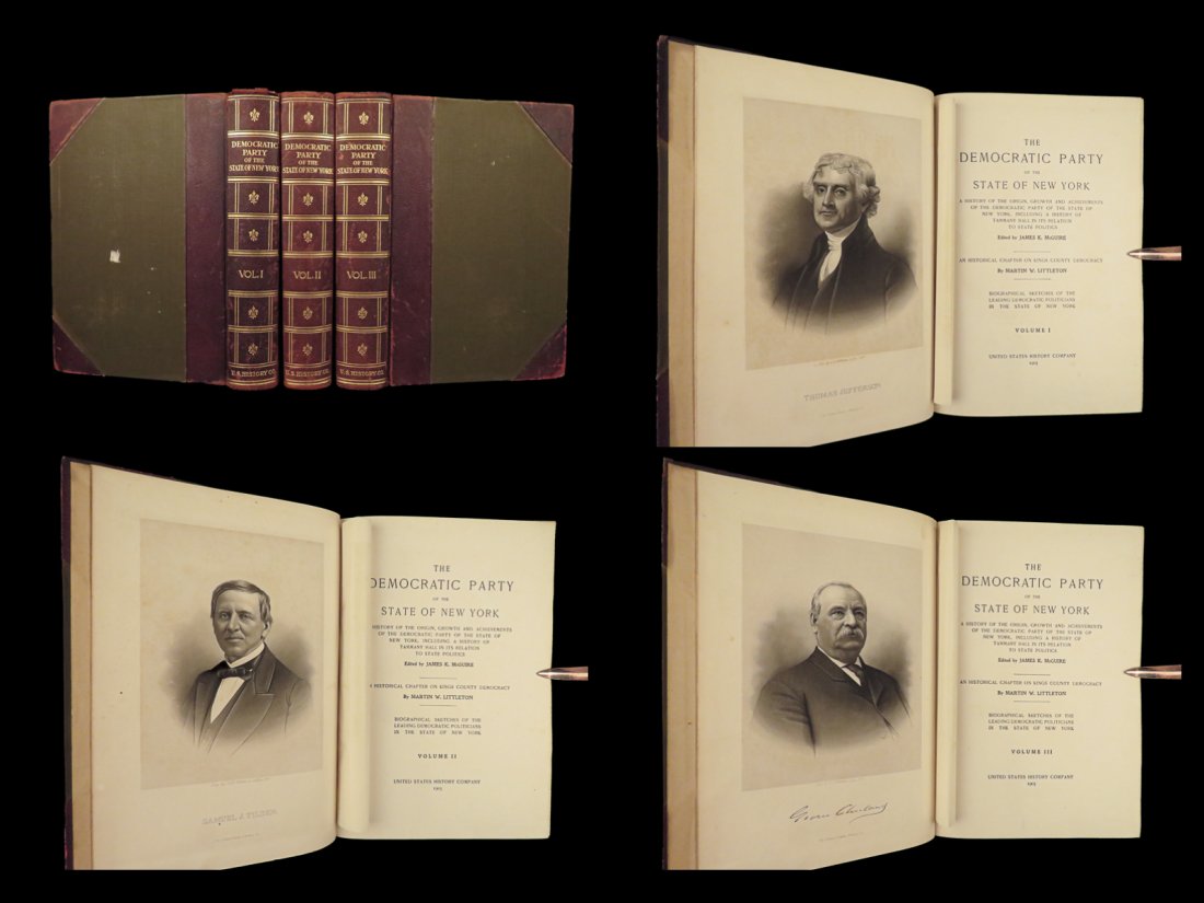 1905 Democratic Party 1ed NEW YORK Government Federalists Whigs Jacksons 3v (1 of 10)
