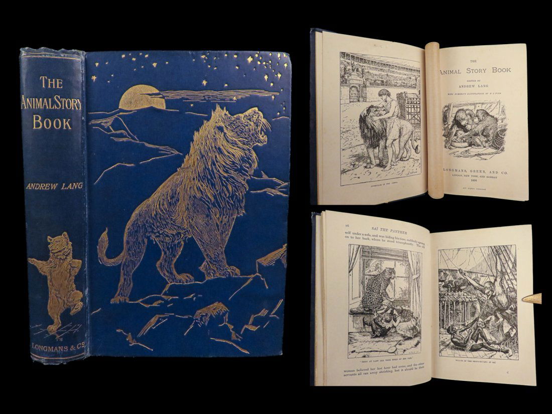 1896 Animal Story Book 1st ed Andrew Lang Illustrated Lions Dogs Fine Binding (1 of 10)