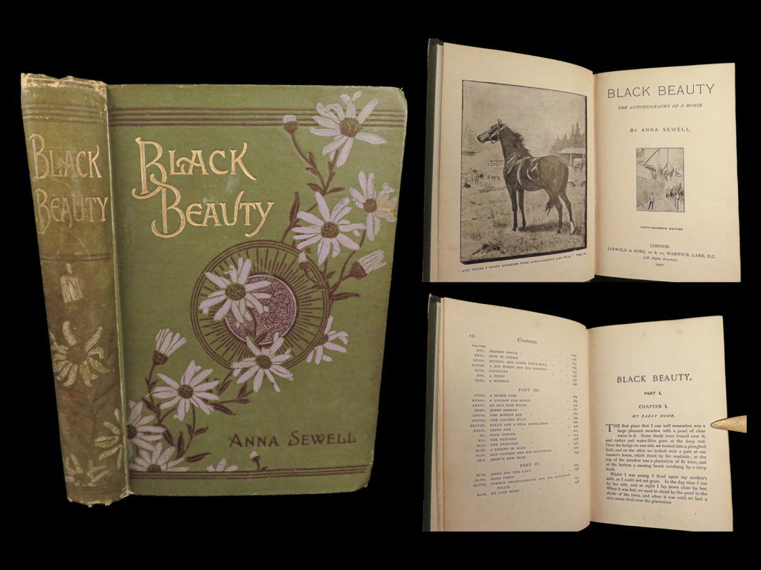 1901 BLACK BEAUTY Anna Sewell Horses Equestrian Classic Animal Rights FAMOUS (1 of 10)