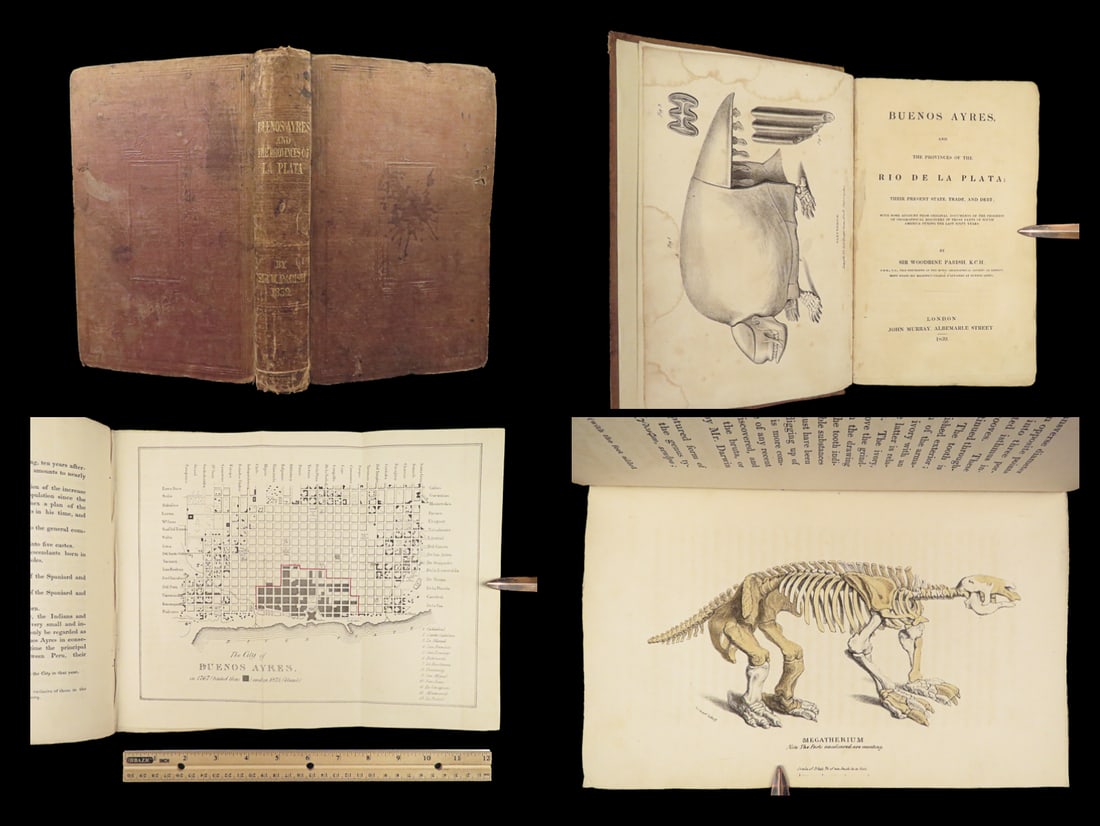 1839 Buenos Aires Paleontology 1ed Archaeology MEGATHERIUM Woodbine Fossils (1 of 10)