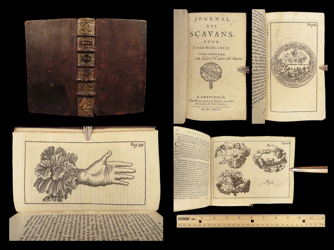 1679 Journal des Scavans SCIENCE Hournal Zanoni Botanica Botany Padua Amsterdam (1 of 10)