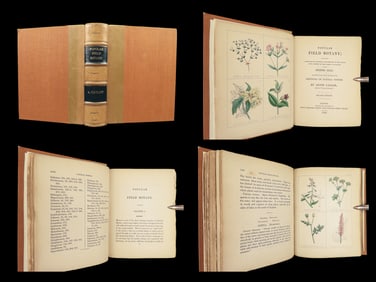1849 BOTANY Natural Science Herbal British Plants FLOWERS Catlow Color Plates