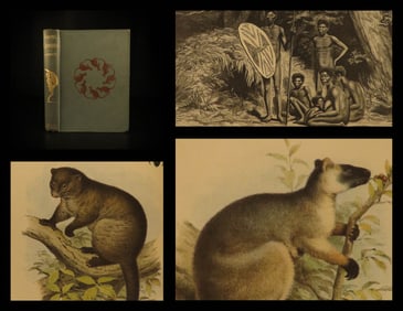 1889 1ed Queensland Cannibals Lumholtz Australia Aborigine Illustrated Maps