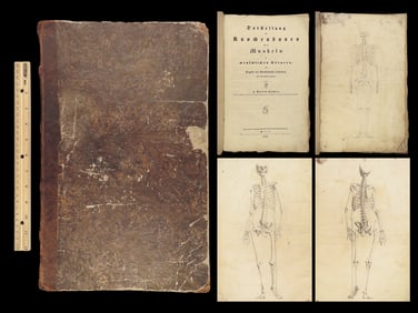 1838 Human ANATOMY 1ed Darstellung Knochenbaues Bones Muscles German Illustrated